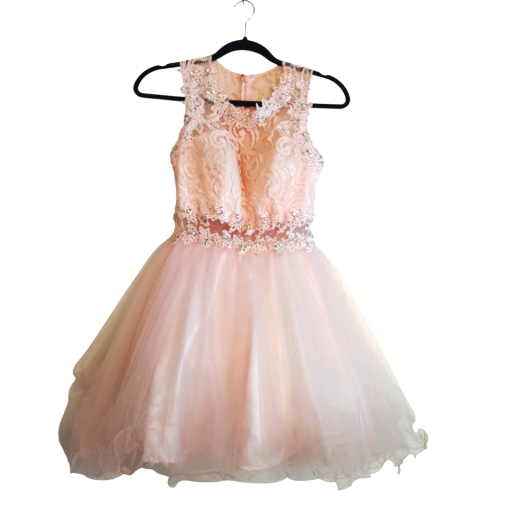 Elizabeth K By GLS Elegant Pink Lace Dress Size S